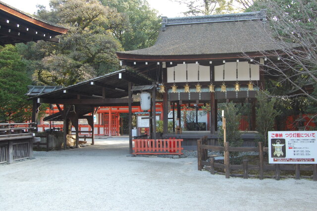 下鴨神社 2024年