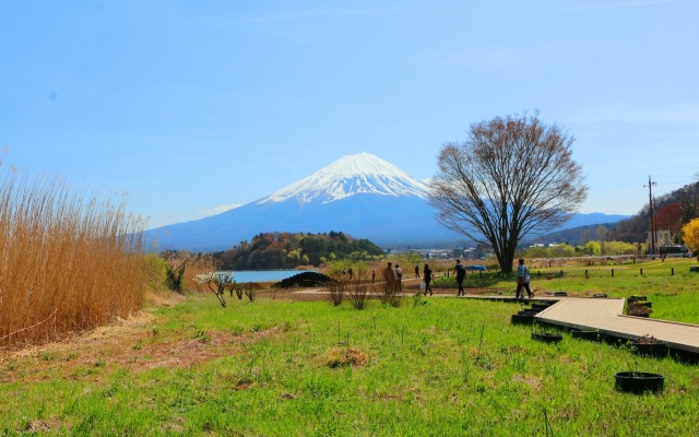 川口湖畔