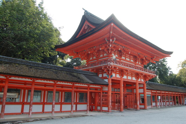 下鴨神社 2024年