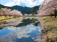 下北山村