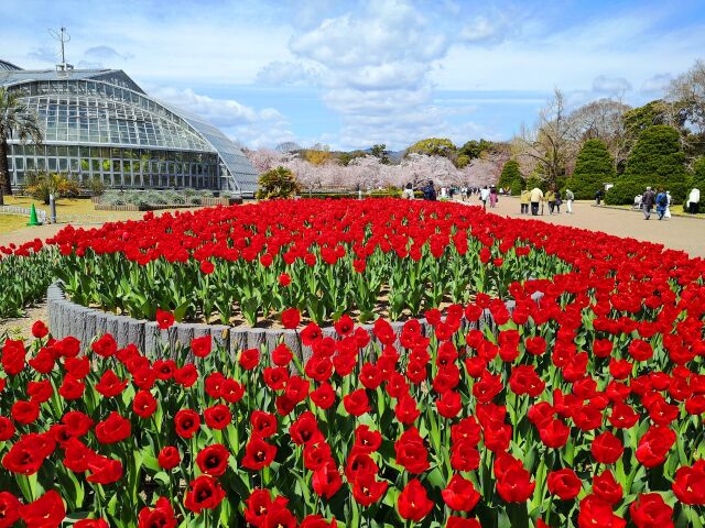 京都府立植物園