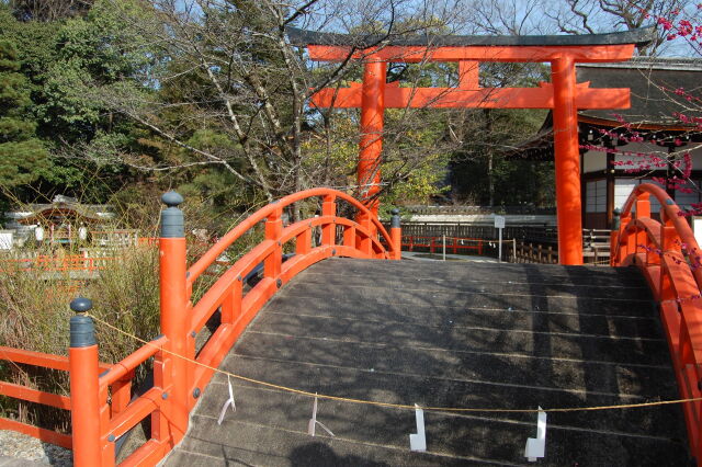 下鴨神社 2024年