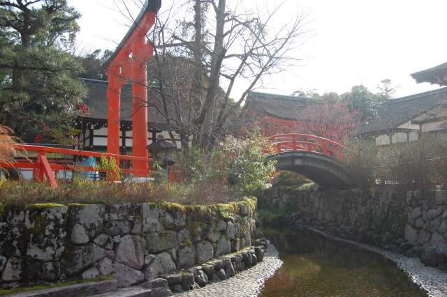 下鴨神社 2024年