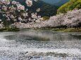 下北山村