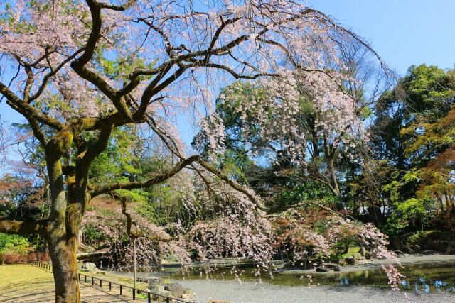 京都御所