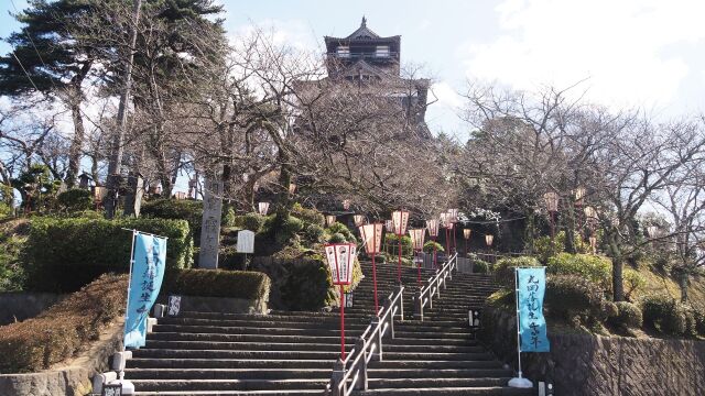 春の丸岡城