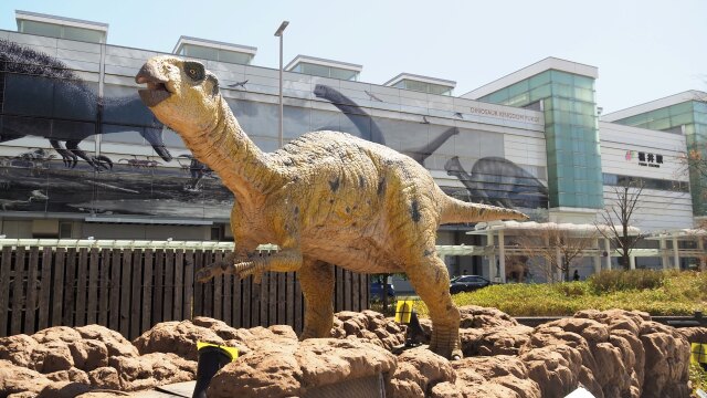 福井駅の恐竜