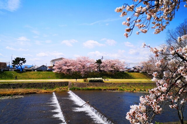 鴨川