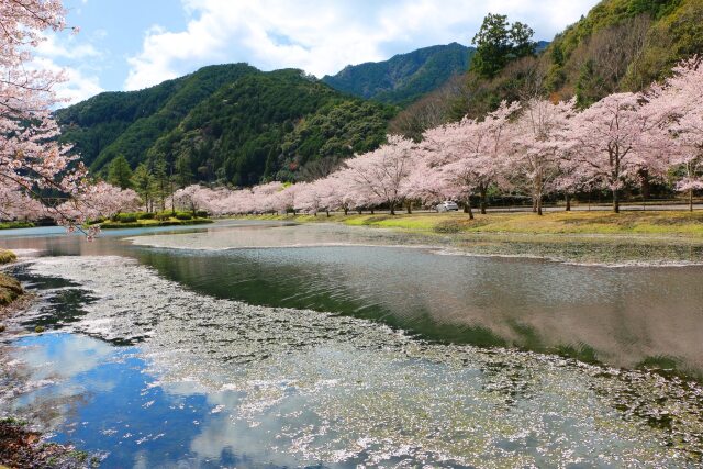 下北山村