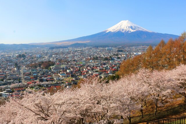 富士吉田市