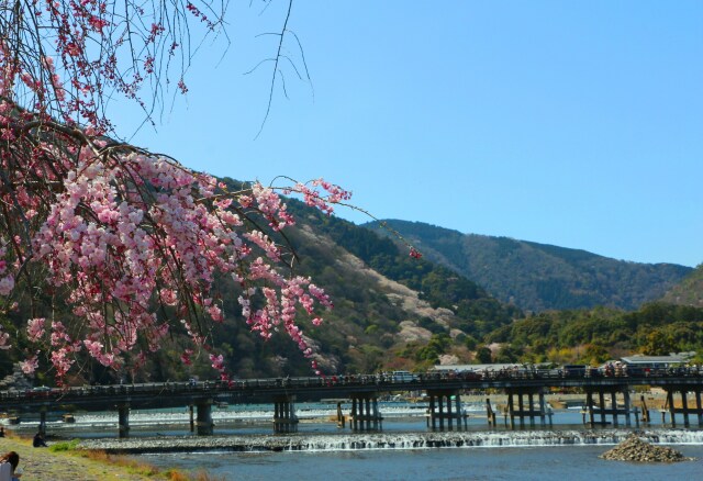 渡月橋