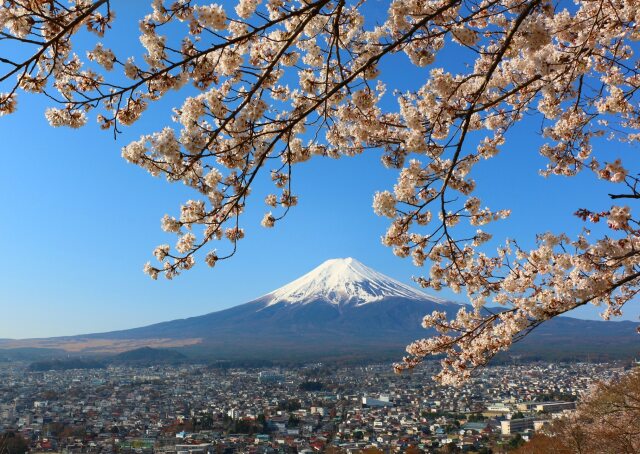 富士吉田市