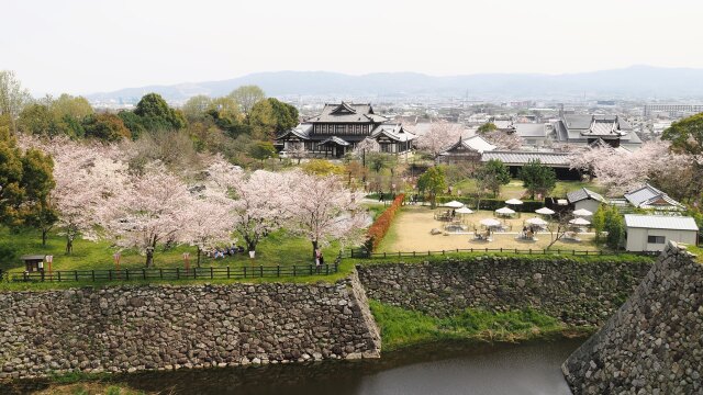 春の郡山城から見る風景