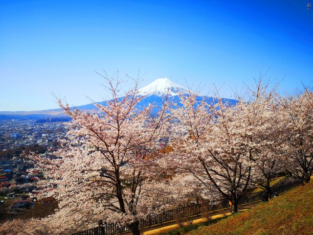 富士吉田市