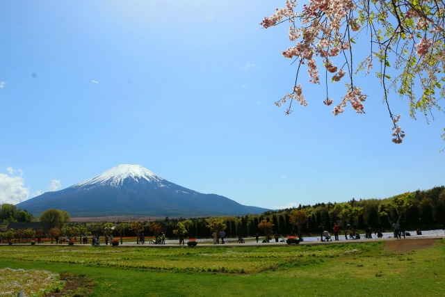 山中湖花の都公園