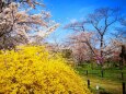 京都府立植物園