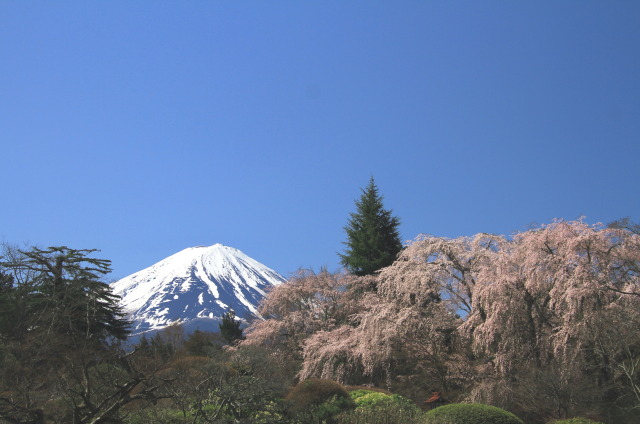 春の景色