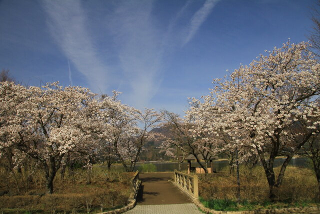 八木崎公園