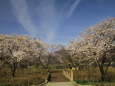 八木崎公園