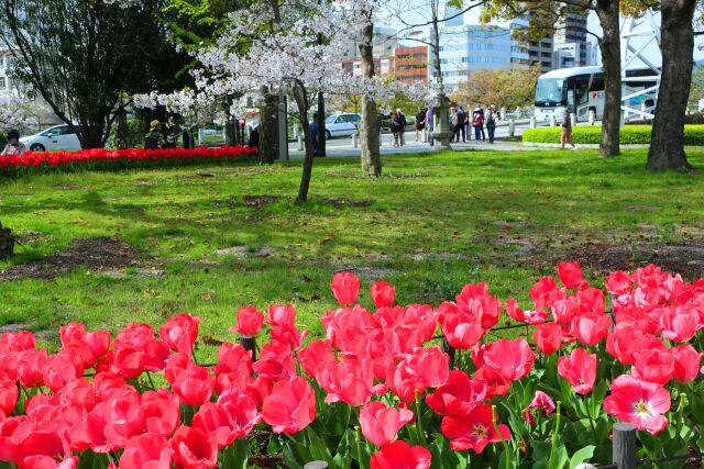 広島平和記念公園