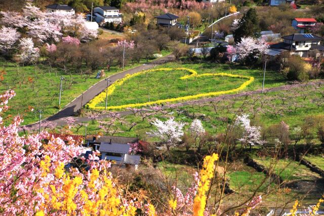 花見山公園