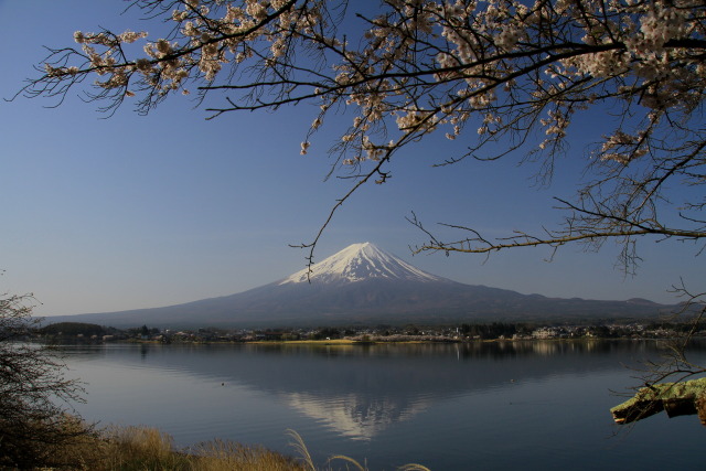 清々しい景色