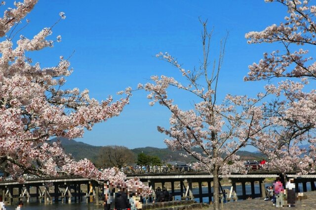 渡月橋