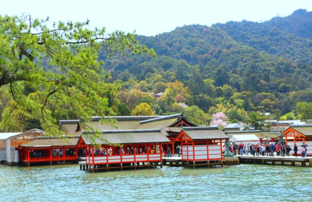 春の厳島神社