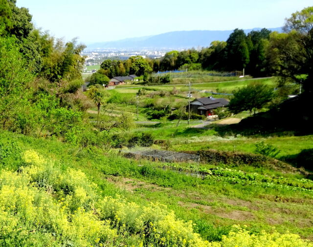 山村の春景色