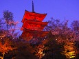 春の夜の清水寺