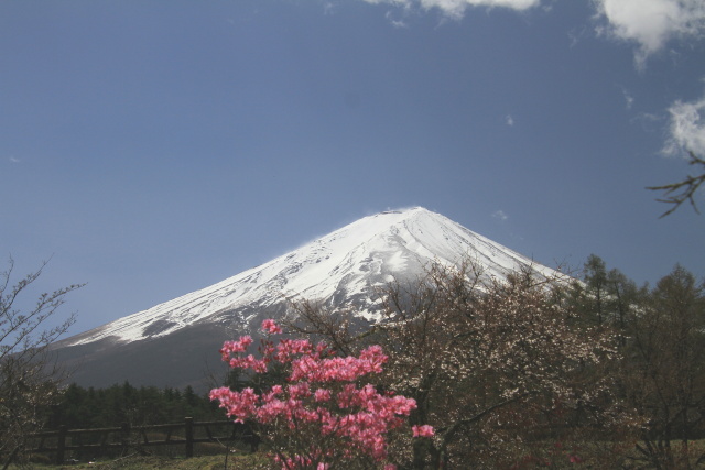 創造の森の富士山