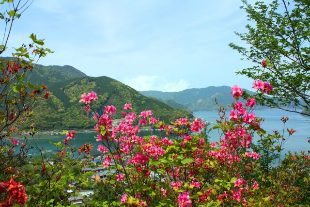 春の海