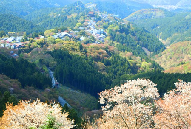 春の吉野