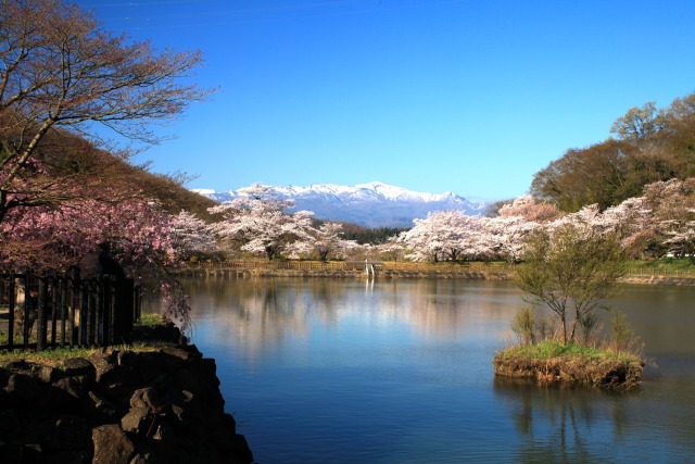 春の公園