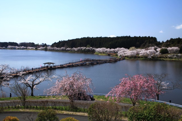 平筒沼ふれあい公園