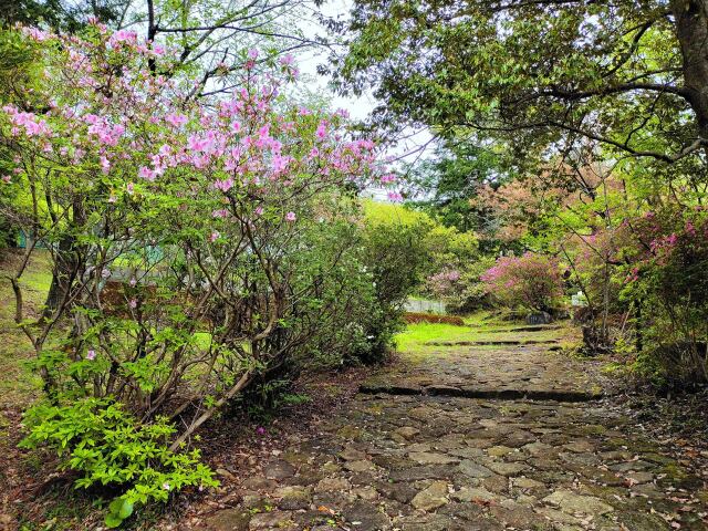 春の熊野古道