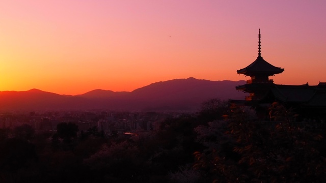 春の清水寺の夕景