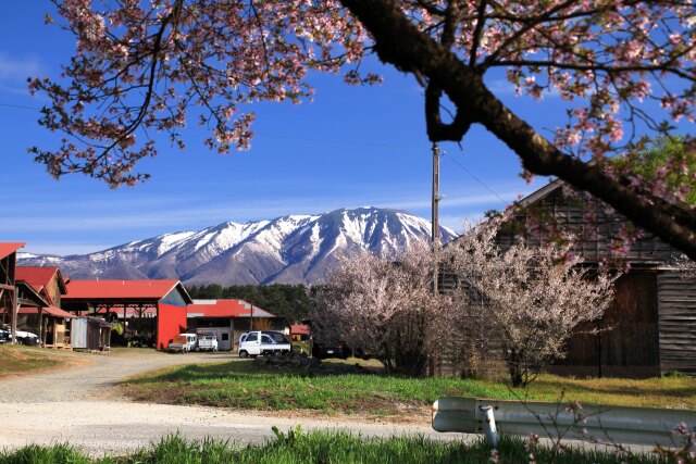 小岩井農場