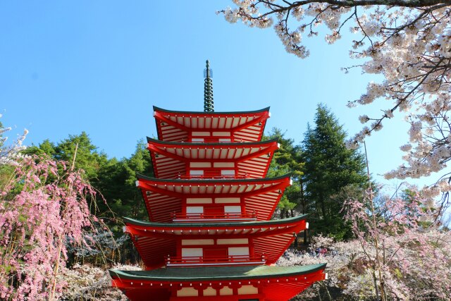 春の新倉山浅間神社