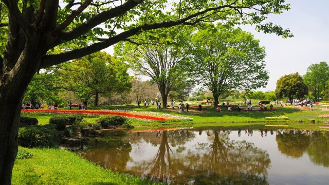 春の昭和記念公園