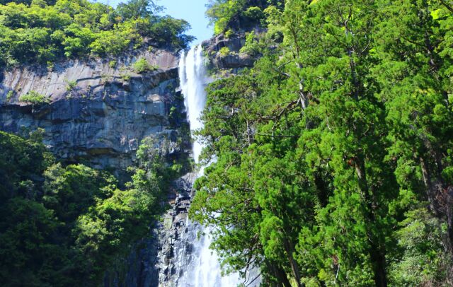 新緑の那智の滝