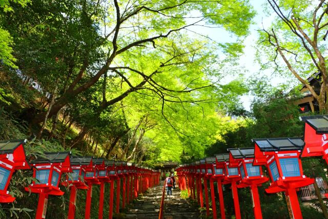 新緑の貴船神社