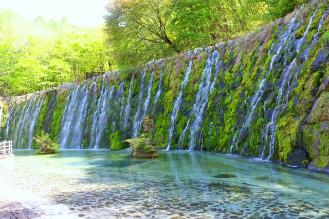 山中湖花の都公園の滝