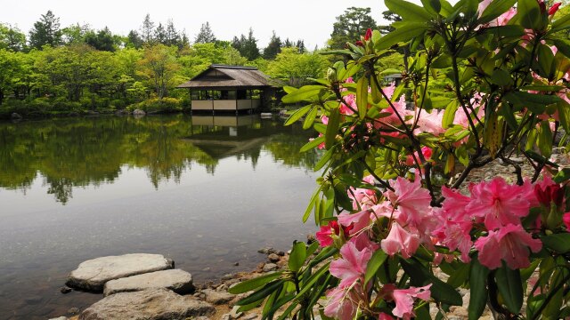 春の昭和記念公園