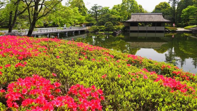 春の昭和記念公園