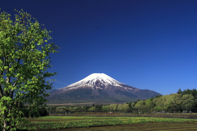 春の風景