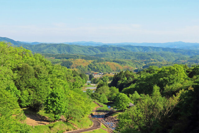 新緑の山里