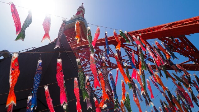 東京タワーと鯉のぼり