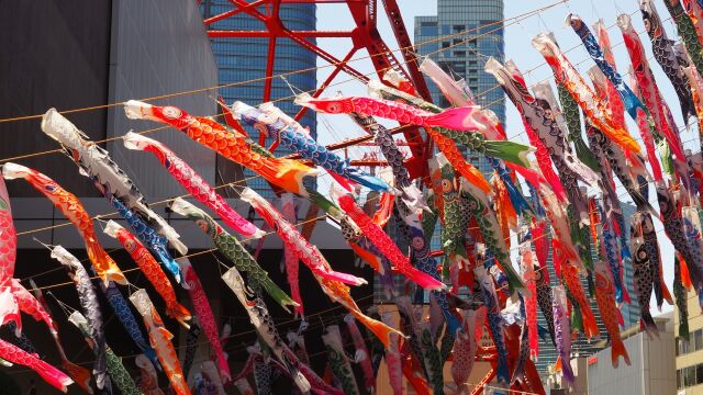 東京タワーと鯉のぼり