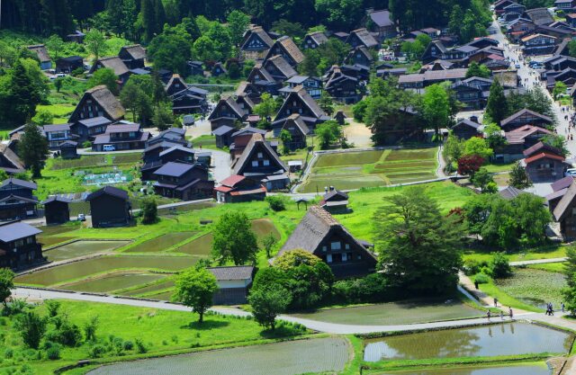 新緑の白川郷